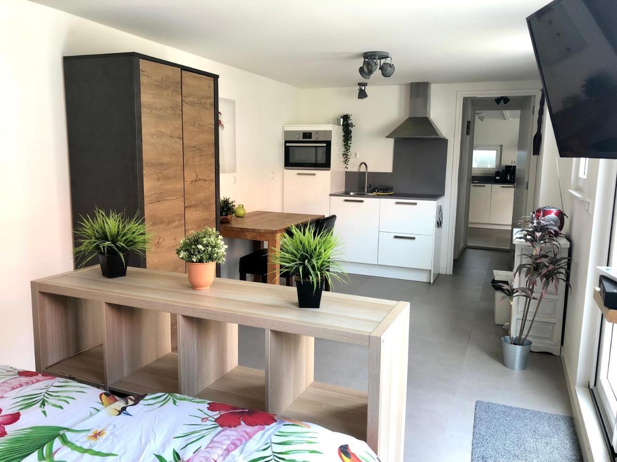 Ferienhaus Gluecklich Am Meer 3 Mit Wellnesszugang Egmond aan Zee Dış mekan fotoğraf