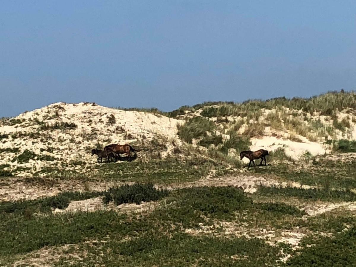 Ferienhaus Gluecklich Am Meer 3 Mit Wellnesszugang Egmond aan Zee Dış mekan fotoğraf